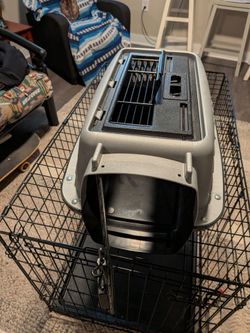 Hard Shell Pet Travel Carrier and Wire Crate