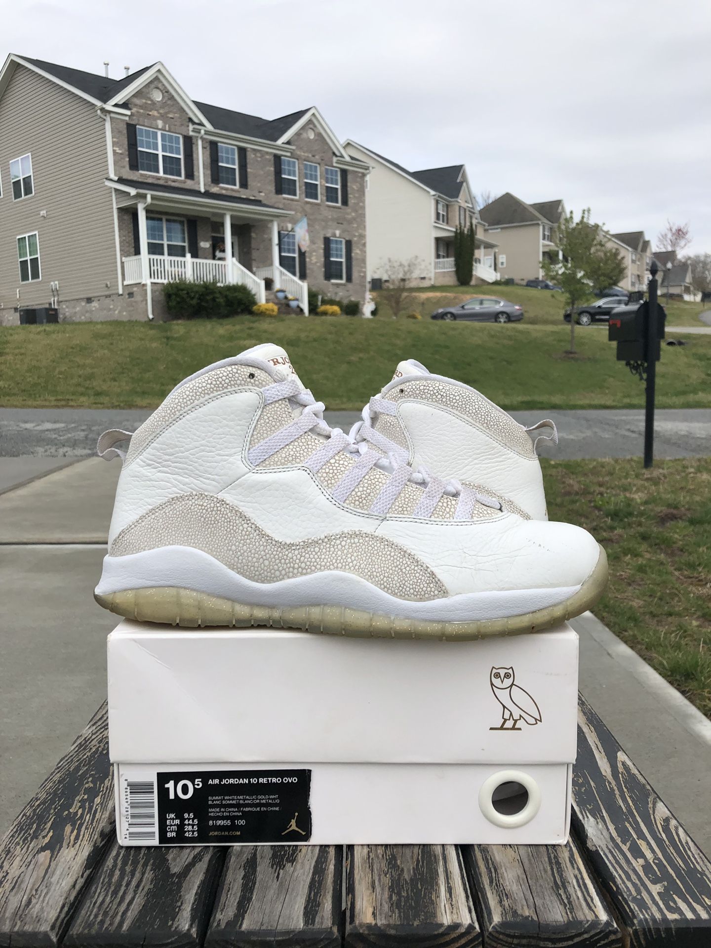 Jordan 10 OVO