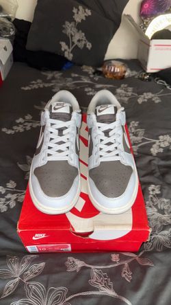 Retro Low “Cave Stone Pure Platinum” Dunks. [M10.0]