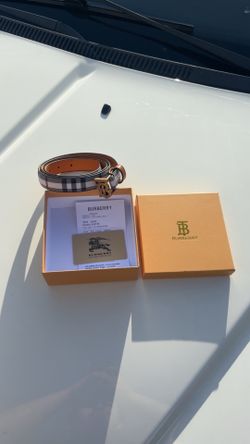 WOMANS BELT
