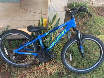 Thrasher schwinn 24”