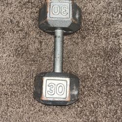 30lb Dumbbell 