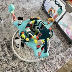 Fisher Price Baby Bouncer