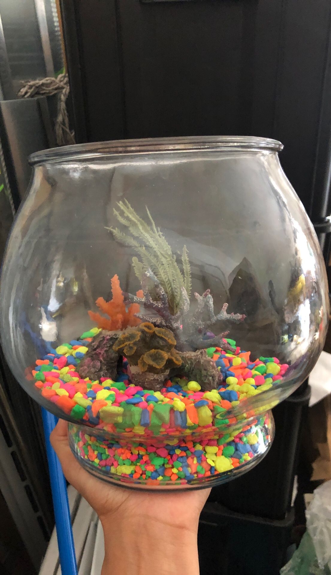 Fish tank with pebbles & coral rock figure