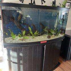 Bow front aquarium fully stocked-75 gallons