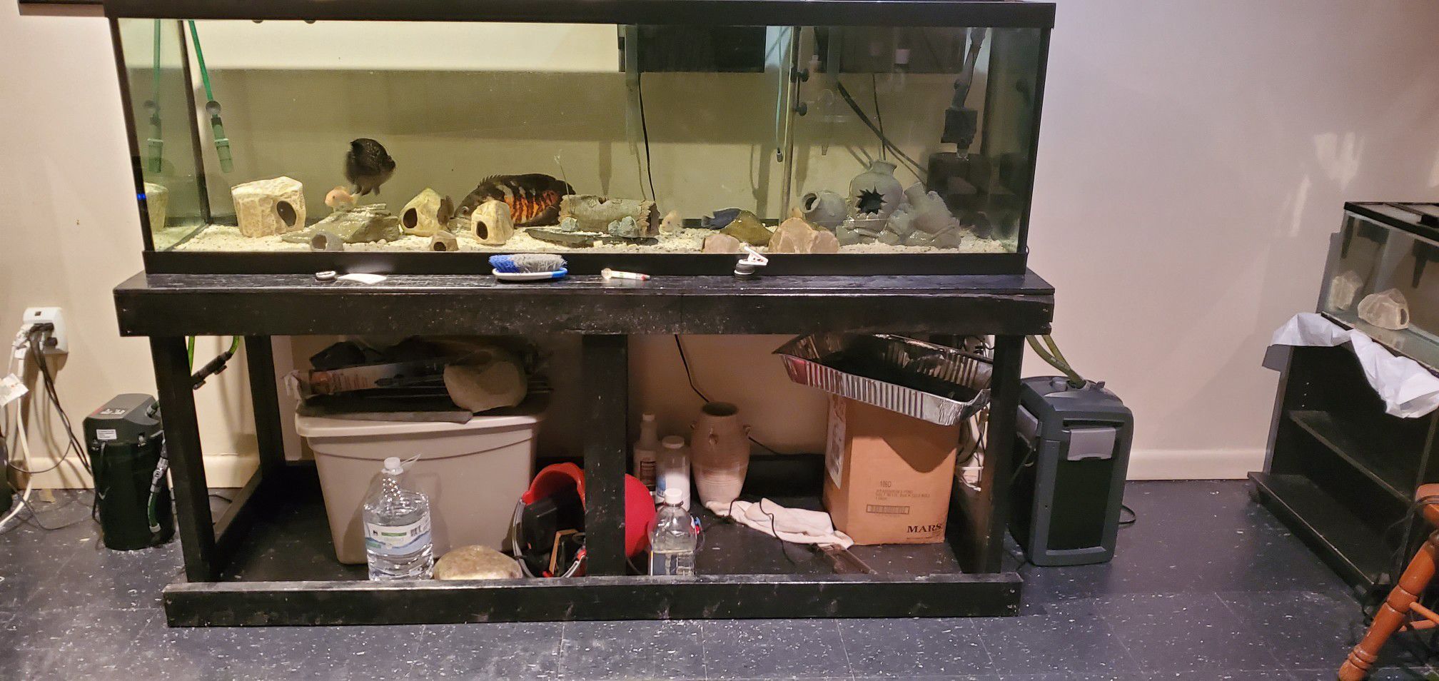 125 Gallon Fish Tank and Stand