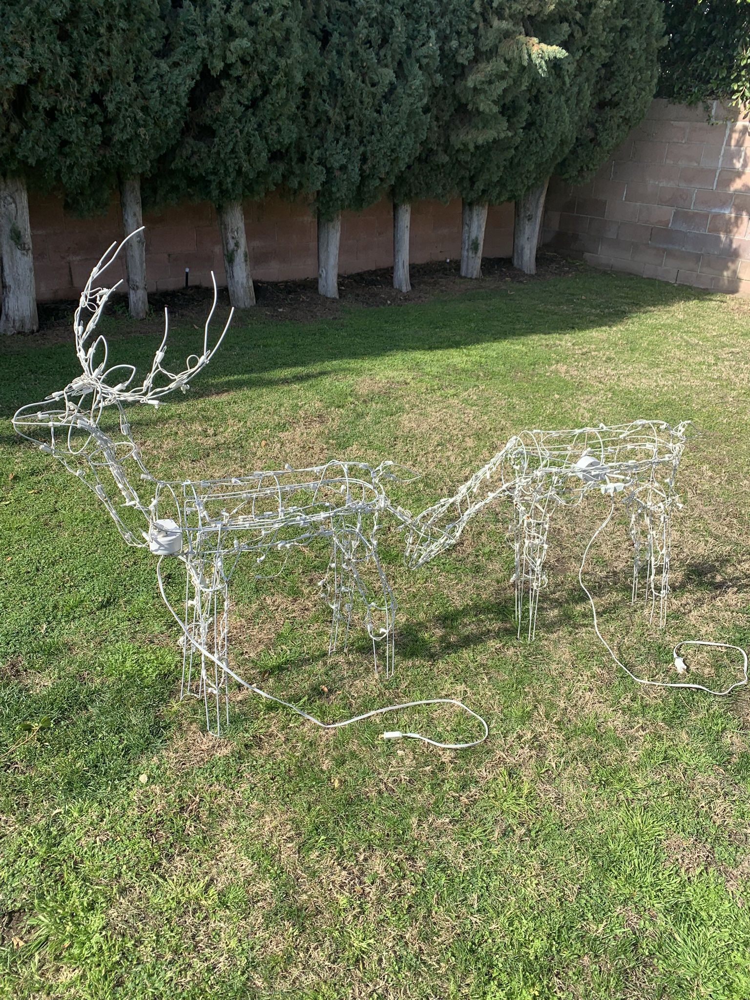 Lighted Christmas Reindeer’s