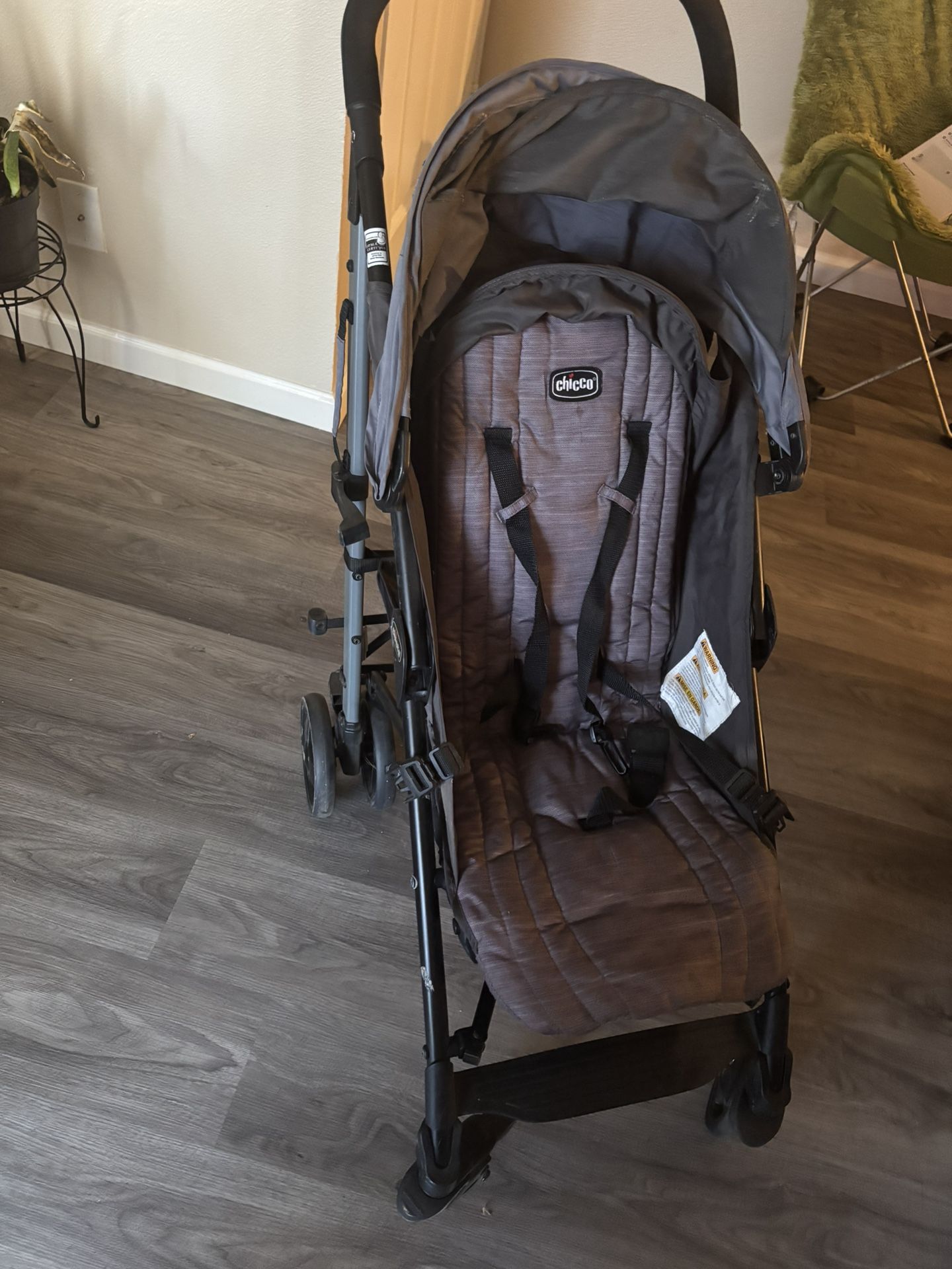 Chico Lightweight Stroller
