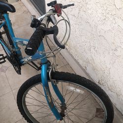 Stratus Pacific 26 Mountain Bike For ladies Custom Drawn MTB