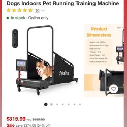 Dog Treadmill 