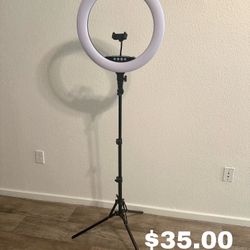 LED Ring Light 