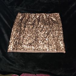 Sequined Skirt