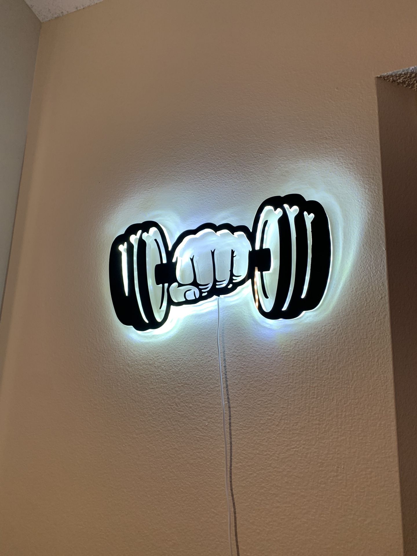 Gym Led Light