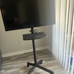 Tv With Rolling Mount 