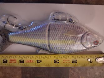 New fishing lure