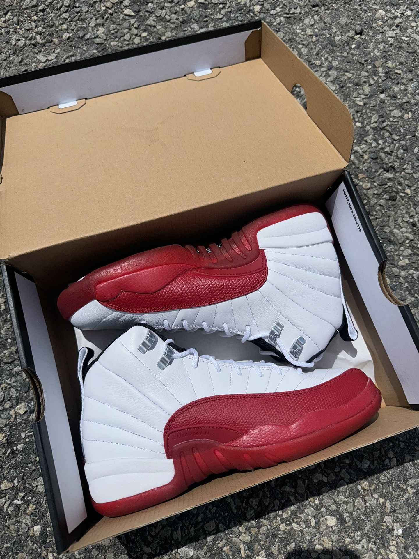 Jordan 12 Cherry