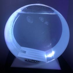 Jellyfish Art 5 Gallon