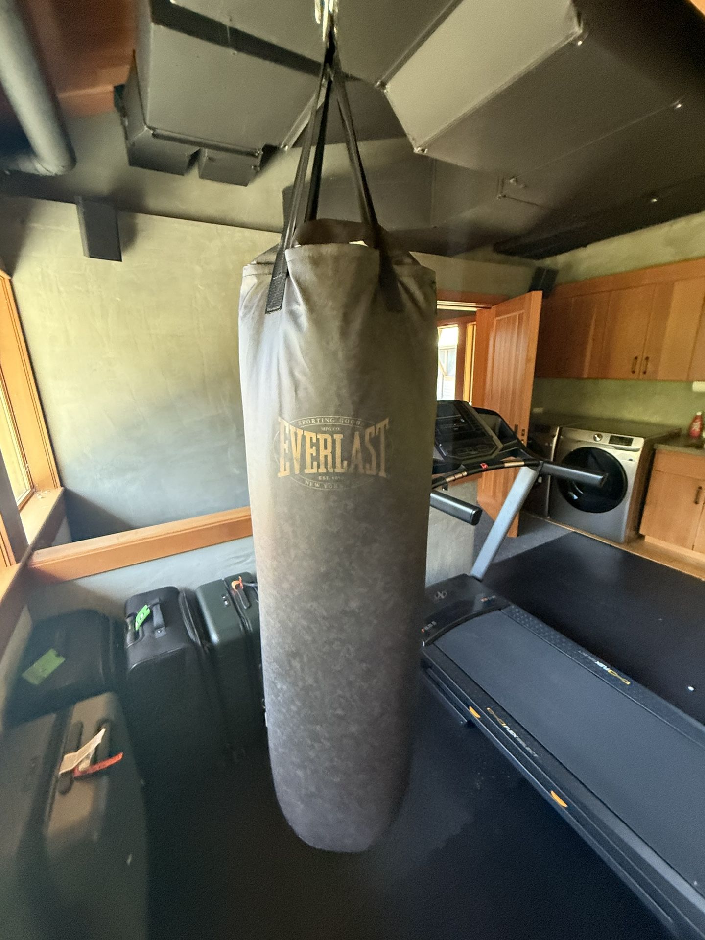 Everlast Punching Bag With Gloves