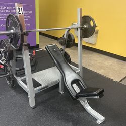 Nautilus Olympic Incline Weight Bench- Barbell & Plates Available Separately 