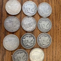 (11) Morgan Silver Dollars