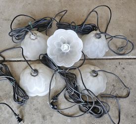 Outdoors/Indoors Lights 