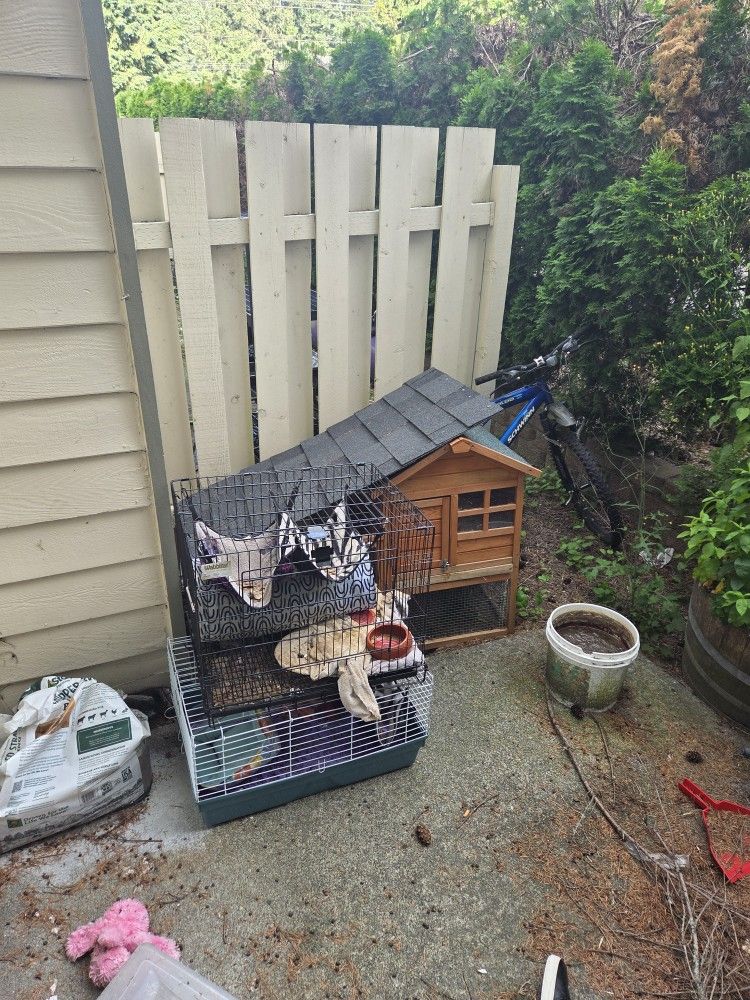 Animal House