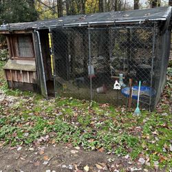 Chicken Coop And Run 