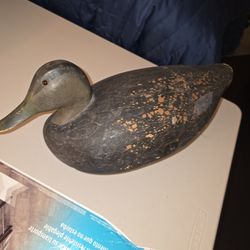 Antique Decoy Duck And First Mate
