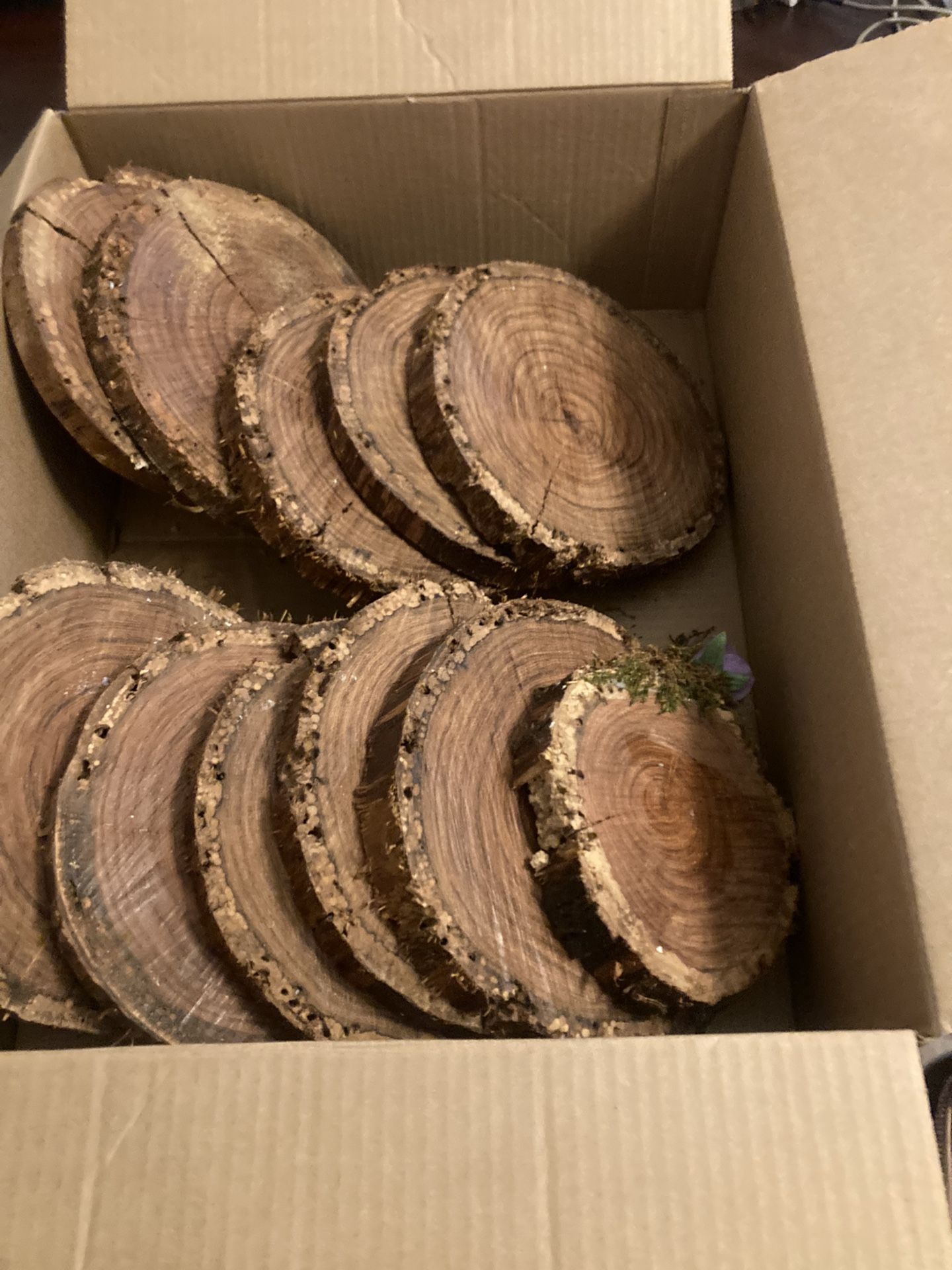 Wood Slices/ Cupcake Treat Holders/ Quinceanera