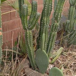 Delivery + Installation Available