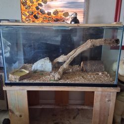 Fish/Reptile Tank 