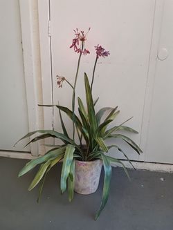 Artificial Day Lily