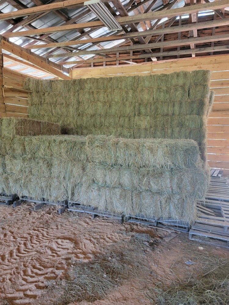 Hay For Sale