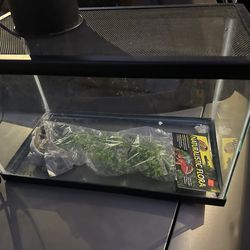 10 gallon terranium with top ,light and decoration