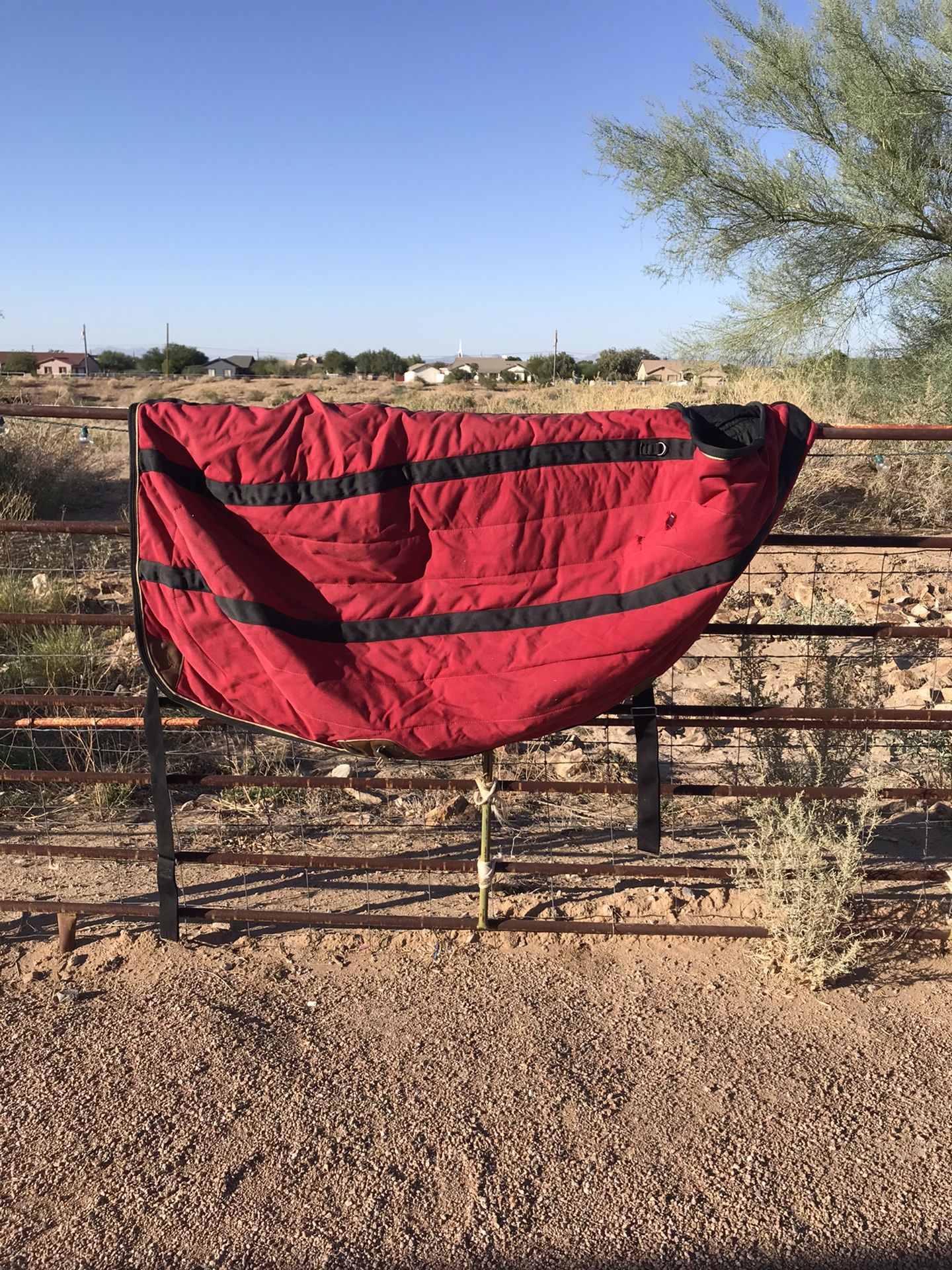 Three horse blankets