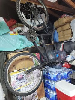 Kids Mountain Bike