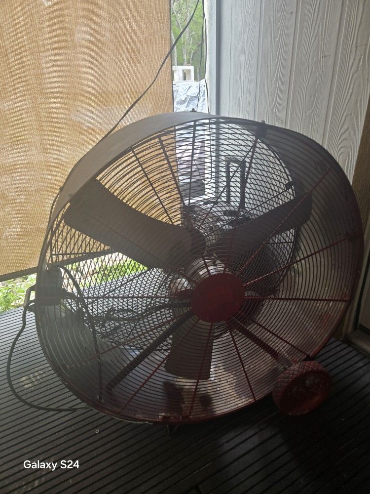 Fan