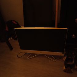 Computer Monitor/Smart TV Screen Broken 