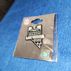 Raiders Pin