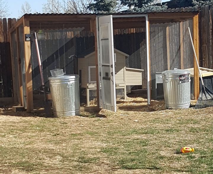 Chicken coop with house and 5 chickens