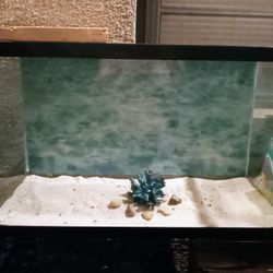 Fish Tank 30 Gallone