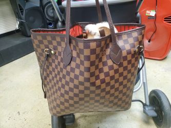 LV Purse