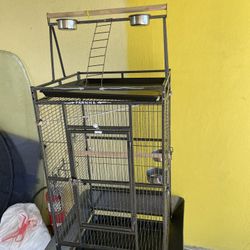 Bird Cage