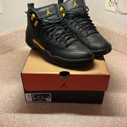 Jordan 12 Size 11