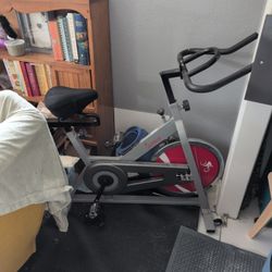 Sunny Exercise Bike
