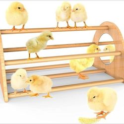 Bamboo Chicken Perch with Mirror, Strong Roosting Bar for coop and brooder, Trai