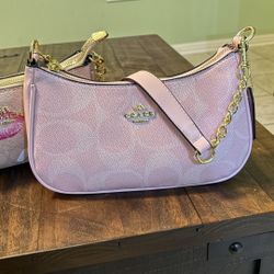 Coach Teri Mini Crossbody Bag