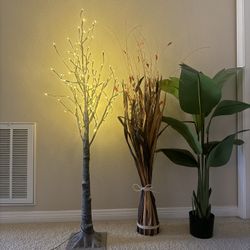 LED Light Tree & 50” artificial plants
