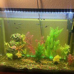 37-Gallon Top Fin LED Bubble Wall Aquarium Kit
