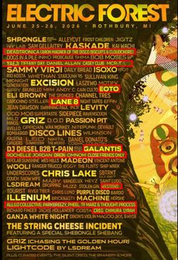 2 electric forest tickets with car camping